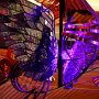 IMG_9826